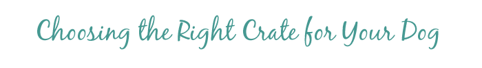 Choosing the Right Crate for your Dog