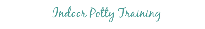 Indoor Potty Training - Papers, Pee Pads, Litter Boxes and more