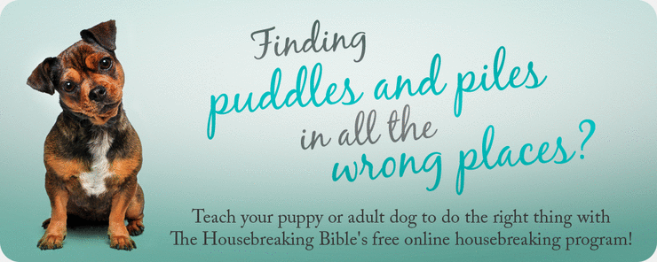 Finding puddles and piles in the wrong places?